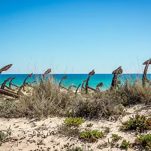 Feriested Pedras D'el Rei, Tavira